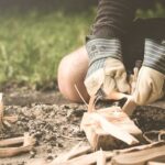 What Is Survival Innovation?