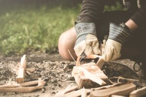 What Is Survival Innovation?